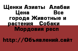 Щенки Азиаты (Алабаи) › Цена ­ 20 000 - Все города Животные и растения » Собаки   . Мордовия респ.